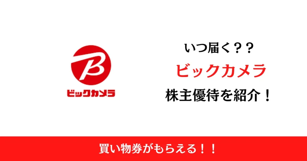 ビックカメラ(3048)の株主優待はいつ届く？内容も解説！