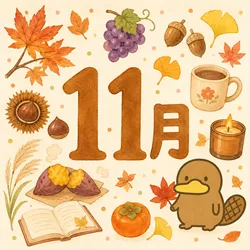 11月